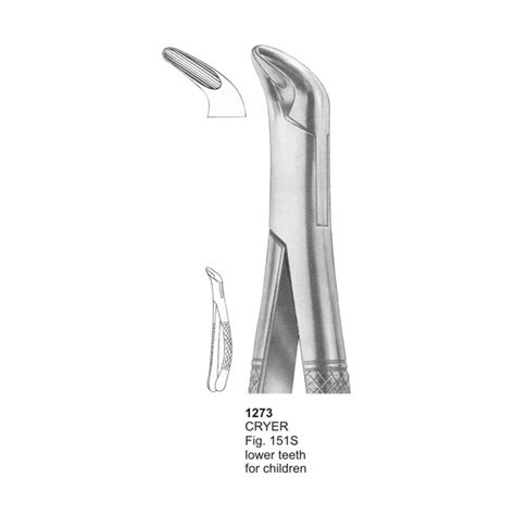 Fig Upper Incisors Canines And Premolars Dental Extraction Forcep