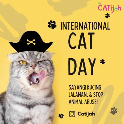 8 Agustus Diperingati Sebagai Hari Kucing Sedunia Simak Sejarahnya Dan