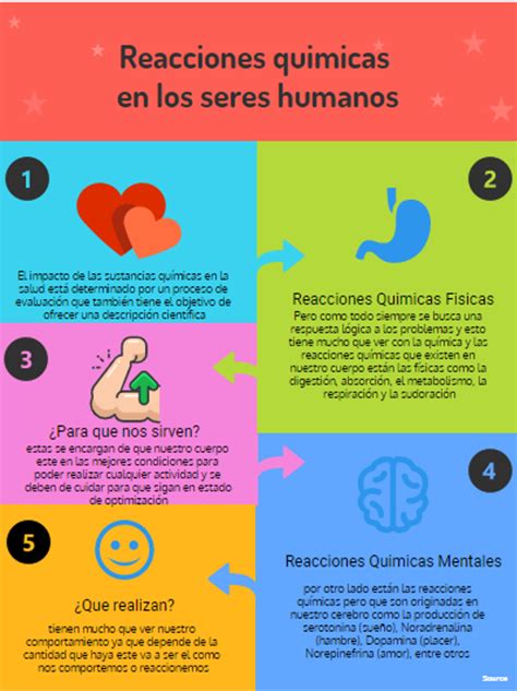 Reacciones Quimicas En La Salud Fisica Y Mental Infografia The Best