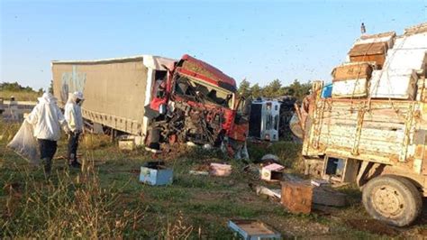 Edirne de feci kaza TIR arı yüklü iki kamyonete çarptı 4 ölü