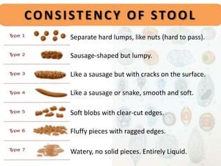 STOOL EXAMINATION PPT