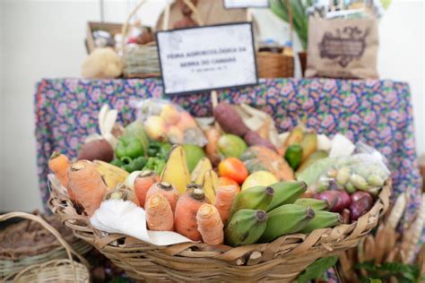 BNB concede microcrédito na Feira Potiguar de Agricultura Familiar