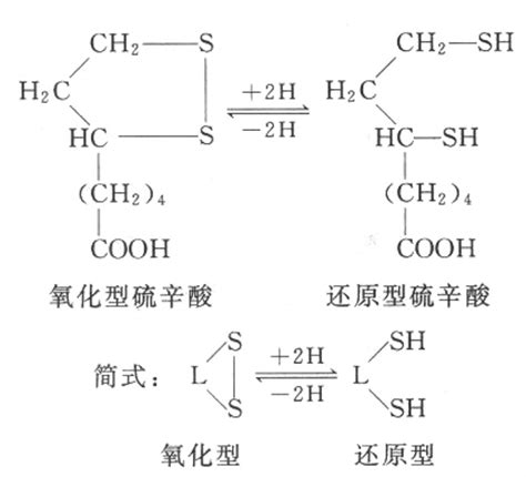 水溶性维生素 解读生命化学 挂云帆