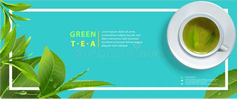 Green Tea Banner Stock Illustrations 9758 Green Tea Banner Stock