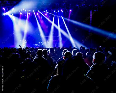 Concert Crowd Silhouette and Stage Lights / Crowd of people at a ...