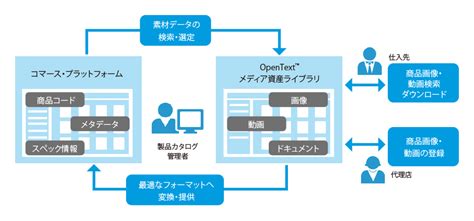 Sapデジタル資産管理ソリューション Sap連携ソリューション Opentext オープンテキスト株式会社