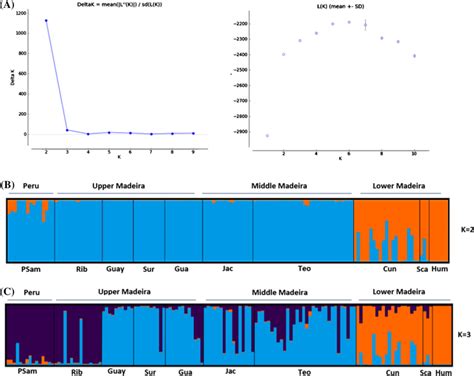 Bayesian Analysis Of Population Structure Using The Structure Software