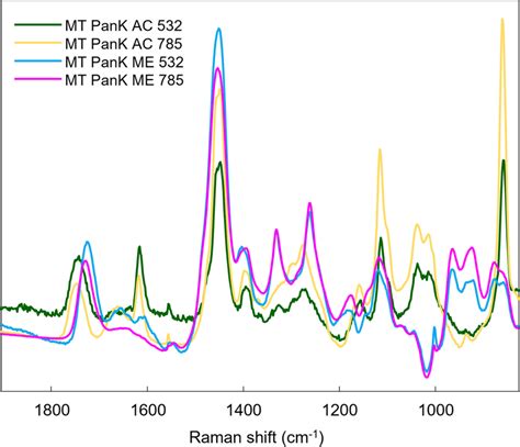 Average Raman Spectrum Of Each Of The Four Raman Data Sets Obtained Download Scientific Diagram