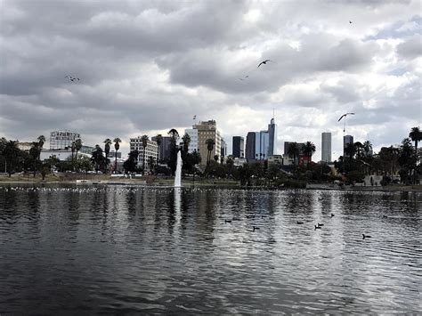 MacArthur park, lake. Near Downtown Los Angeles Photograph by Sofia ...