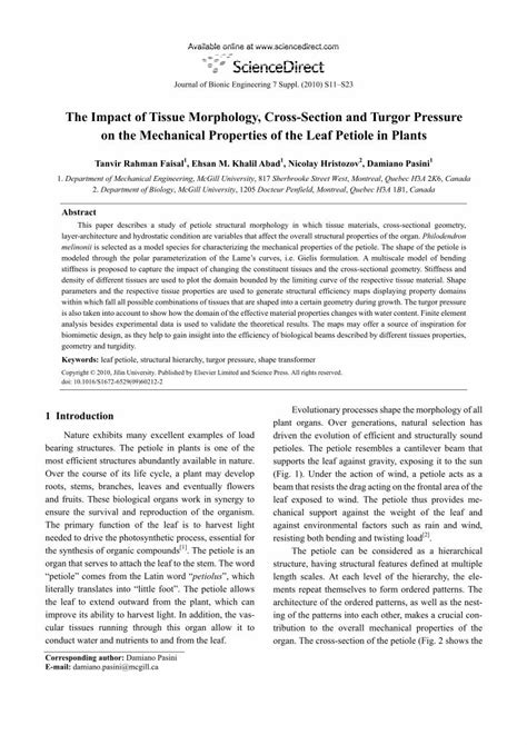 PDF The Impact Of Tissue Morphology Cross Section And Turgor