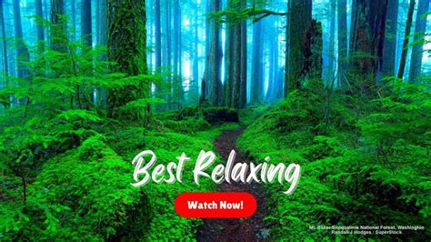 The Best Music To Keep You Calm And Relaxed Stress Relief Morning