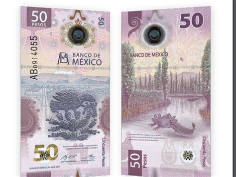 La App Que Debes Conocer Para Descubrir Los Secretos Del Billete De 50