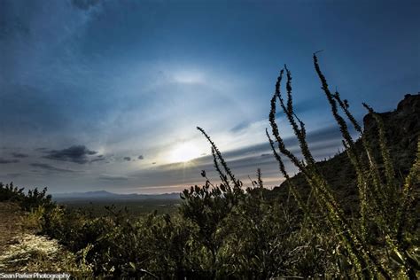 What makes a halo around the sun or moon? | Space | EarthSky