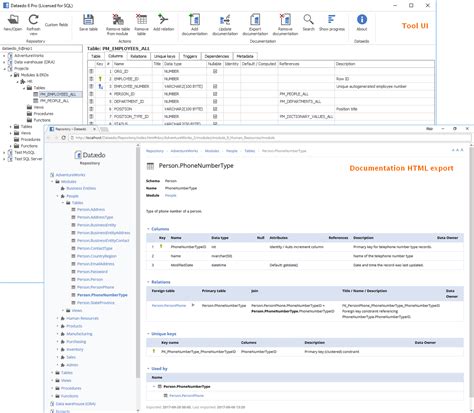 Business Data Dictionary Template – PARAHYENA