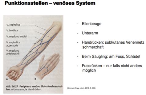 1PM05 Blutentnahme Karteikarten Quizlet