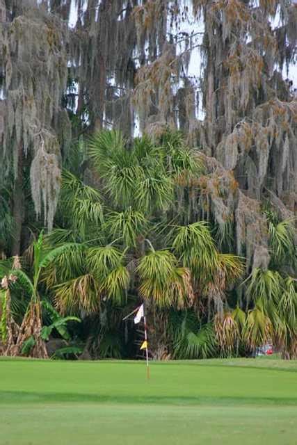 Enjoy No Fees At Seven Springs Golf and Country Club - Executive Plus - New Port Richey FL | TeeOff