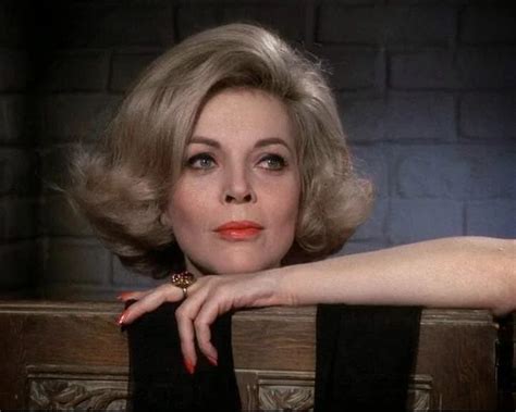 Barbara Bain Image Search Results Mission Impossible Tv Series