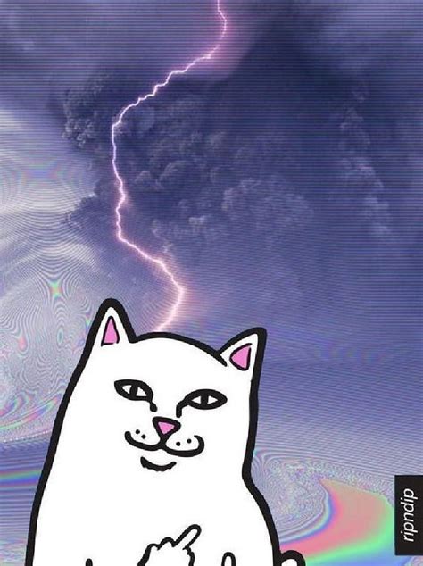 Ripndip Art For Android Rip N Dip HD Phone Wallpaper Pxfuel