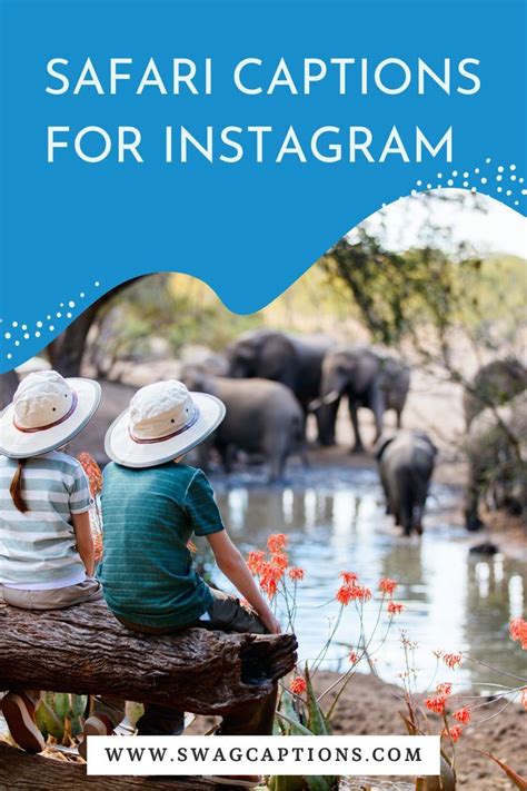 Best Safari Captions And Quotes For Instagram In Artofit