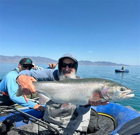 Lahontan Cutthroat Oncorhynchus Clarkii Henshawi