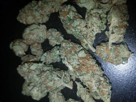 Alien Og Aka Alien Og Kush Alien Banana Weed Strain Information Leafly