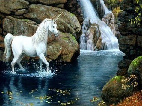 Unicorns Pretty Bing Images Unicorns Pinterest