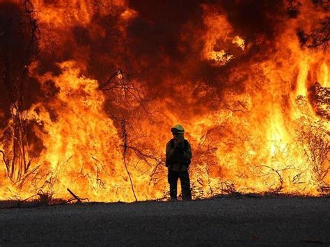 The Park Fire Burned Through Most Of Chico States Big Chico Creek Ecological Reserve