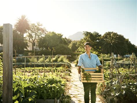 Sustainable Agriculture From Farm To Fork Studyhub