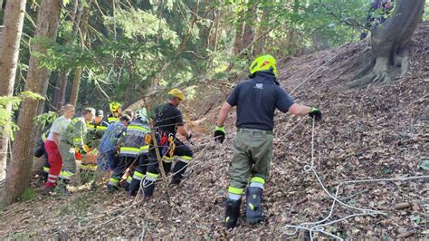 Forstunfall In Krottendorf Forstarbeiter Zwischen Baumstamm Und Bloch