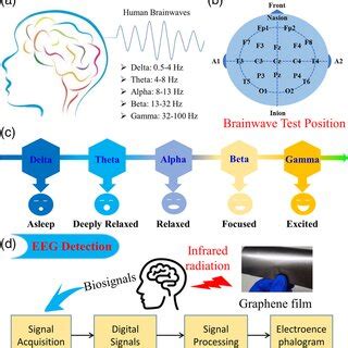 A Schematic Diagrams Of EEG Detection Of Human Brainwaves B Human