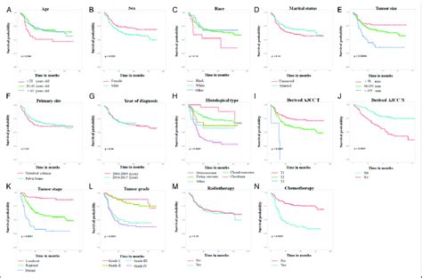 The Kaplan Meier Method Was Performed On Cancer Specific Survival