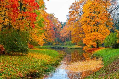 Foliage I Paesaggi Autunnali In Italia E Nel Mondo