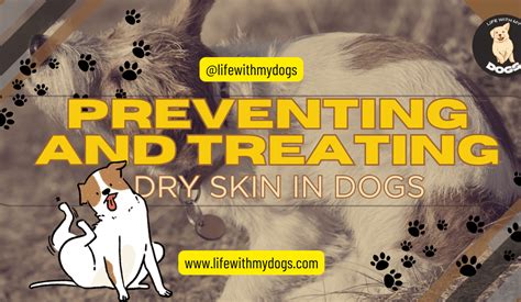 Preventing And Treating Dry Skin In Dogs - Life With My Dogs