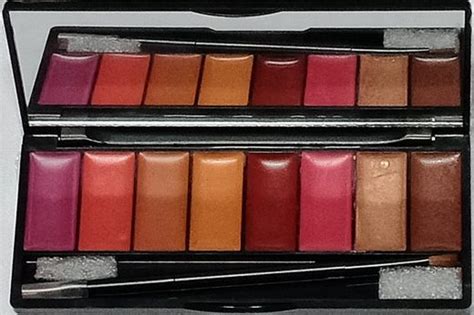 lip palette top  review  buying guide