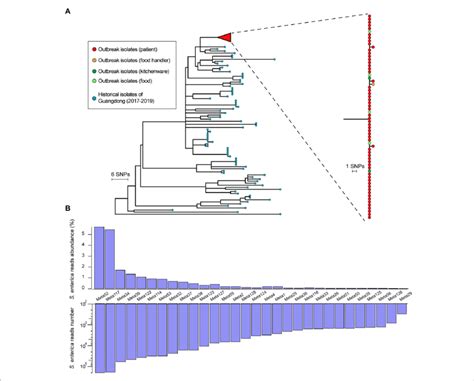 | Whole-genome and metagenomic analysis of Salmonella Enteritidis... | Download Scientific Diagram