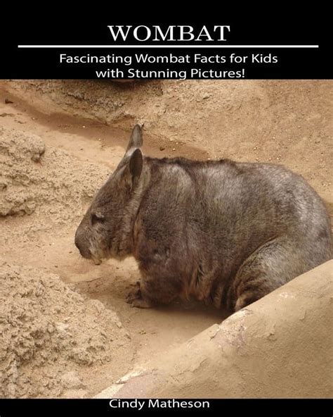 Wombat : Fascinating Wombat Facts for Kids with Stunning Pictures! (Paperback) - Walmart.com