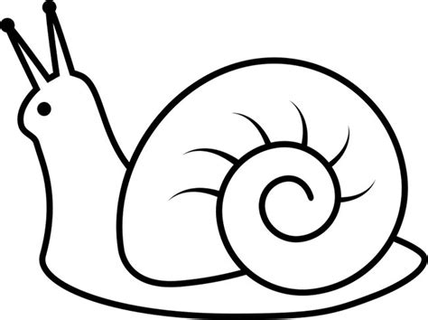 Desenho De Caracol Para Colorir Desenhos Para Colorir E Imprimir Pdmrea