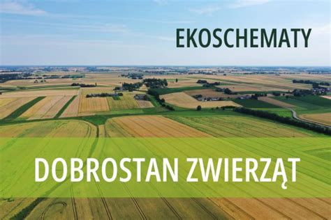 Ekoschemat Dobrostan zwierząt Świętokrzyski Ośrodek Doradztwa