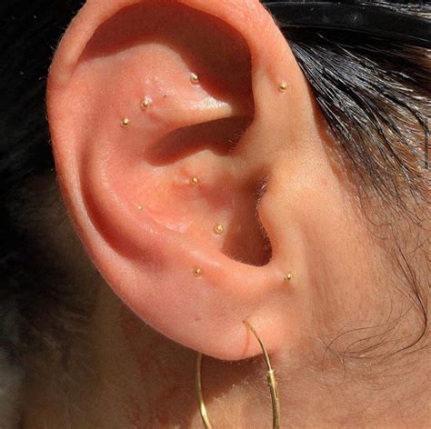 24k Gold Acupuncture Ear Seeds Etsy