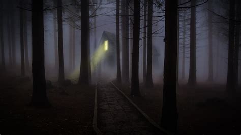 Scary Forest Wallpapers Wallpaper Cave