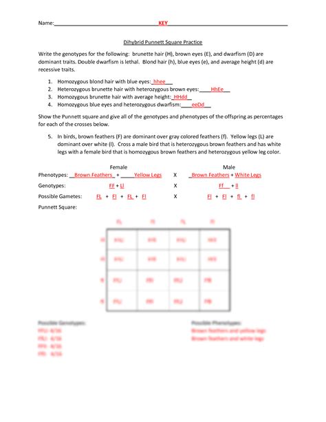 SOLUTION Dihybrid Punnett Square Practice Key 1617 Studypool