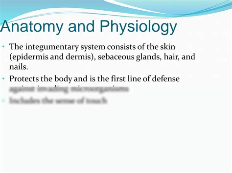 Solution Dermatology Nursing Notes Studypool