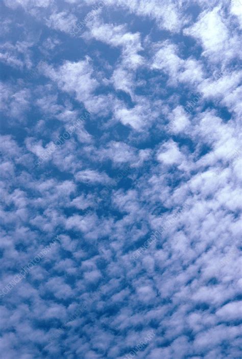 autocumulus floccus clouds stock image  science photo