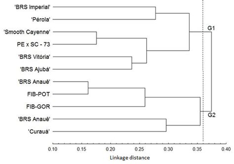 Dendrogram Of The 11 Pineapple Genotypes Based On The Gower Algortithm