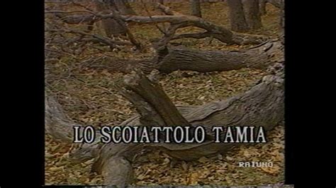 Il Mondo Di Quark Lo Scoiattolo Tamia 20 05 1991 YouTube