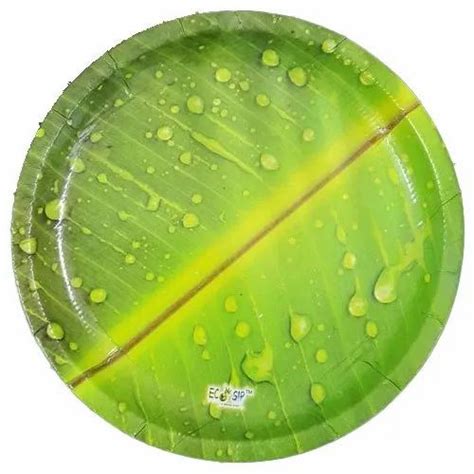 Green 10 Inch Round Printed Paper Plate For Event And Party Supplies