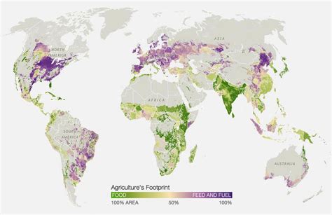 The Division Of Agriculture And Crop Rotation Between Different Countries