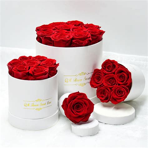 Immortal Infinity Long Lasting Rose Perfect Valentines Day Gift Eternal