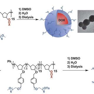 Scheme A The Preparation Of Pnps From Methoxy Terminated B