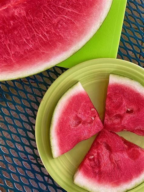 Red Bank Funeral Homes: Local services and support in New Jersey 28